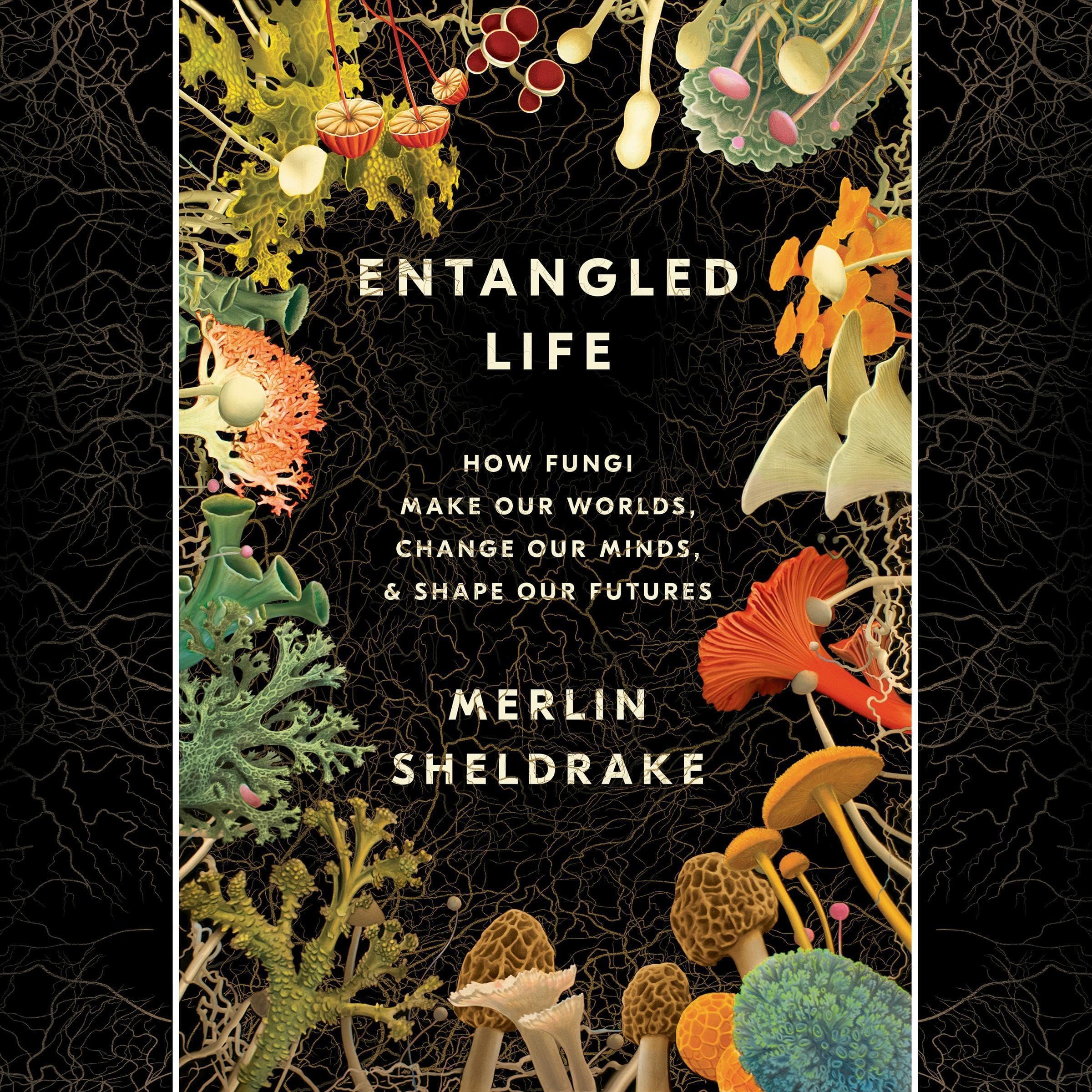 Cover art for Entangled Life