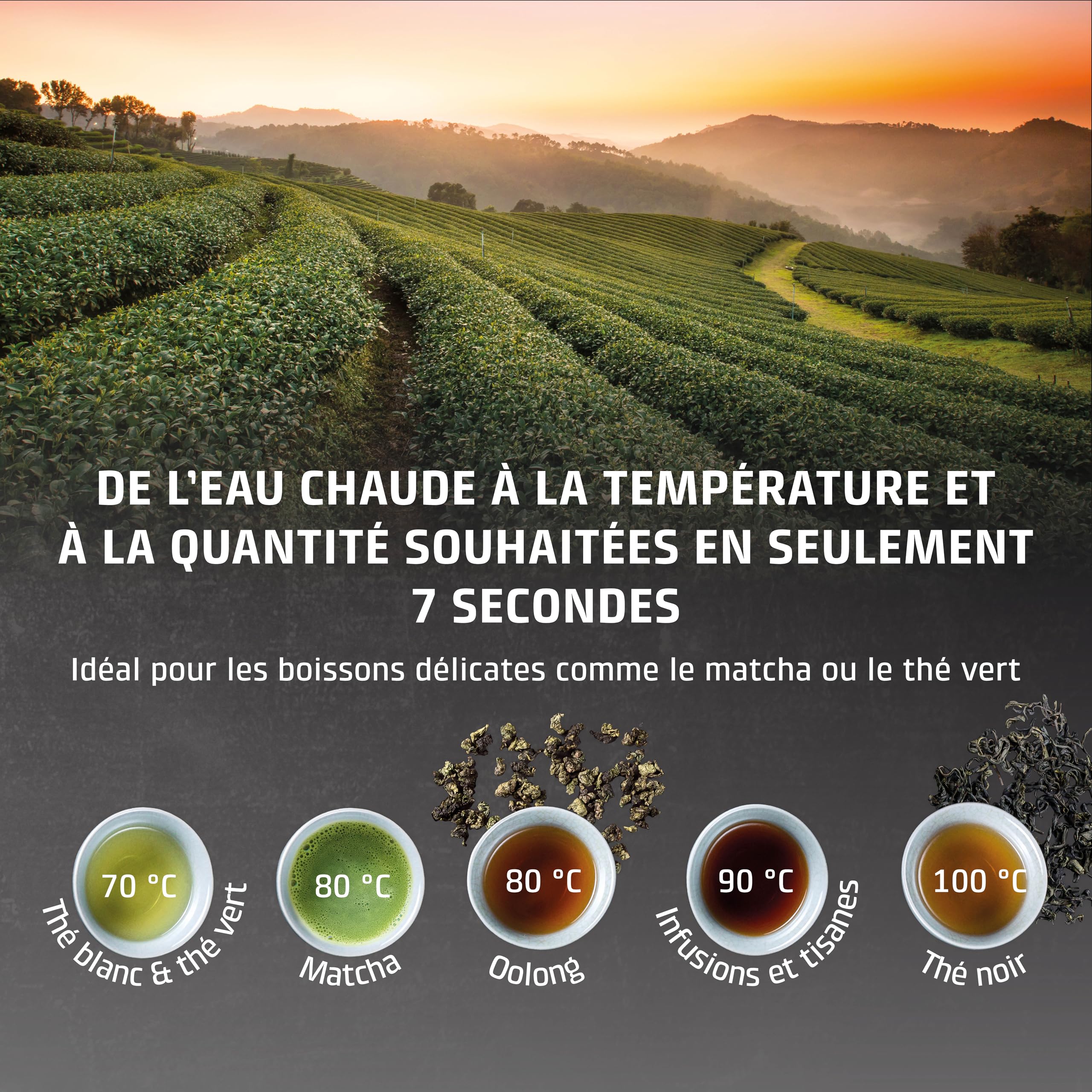CASO HW 660 Distributeur d'eau chaude - de l'eau chaude en quelques secondes, économise jusqu'à 50% d'énergie, convient pour les aliments pour bébés, rappel de détartrage intégré