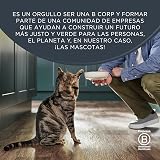 Ver la foto 6