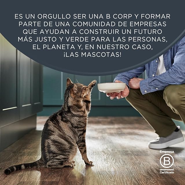 Foto 6 de 6 de Encore Comida Húmeda Natural Gatos, Multipack de Selección Variada en Caldo para Gatos Adultos