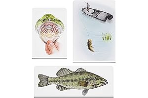 Magnetic Bookmarks - Brighten Your Reading Experience with Fish Bookmarks