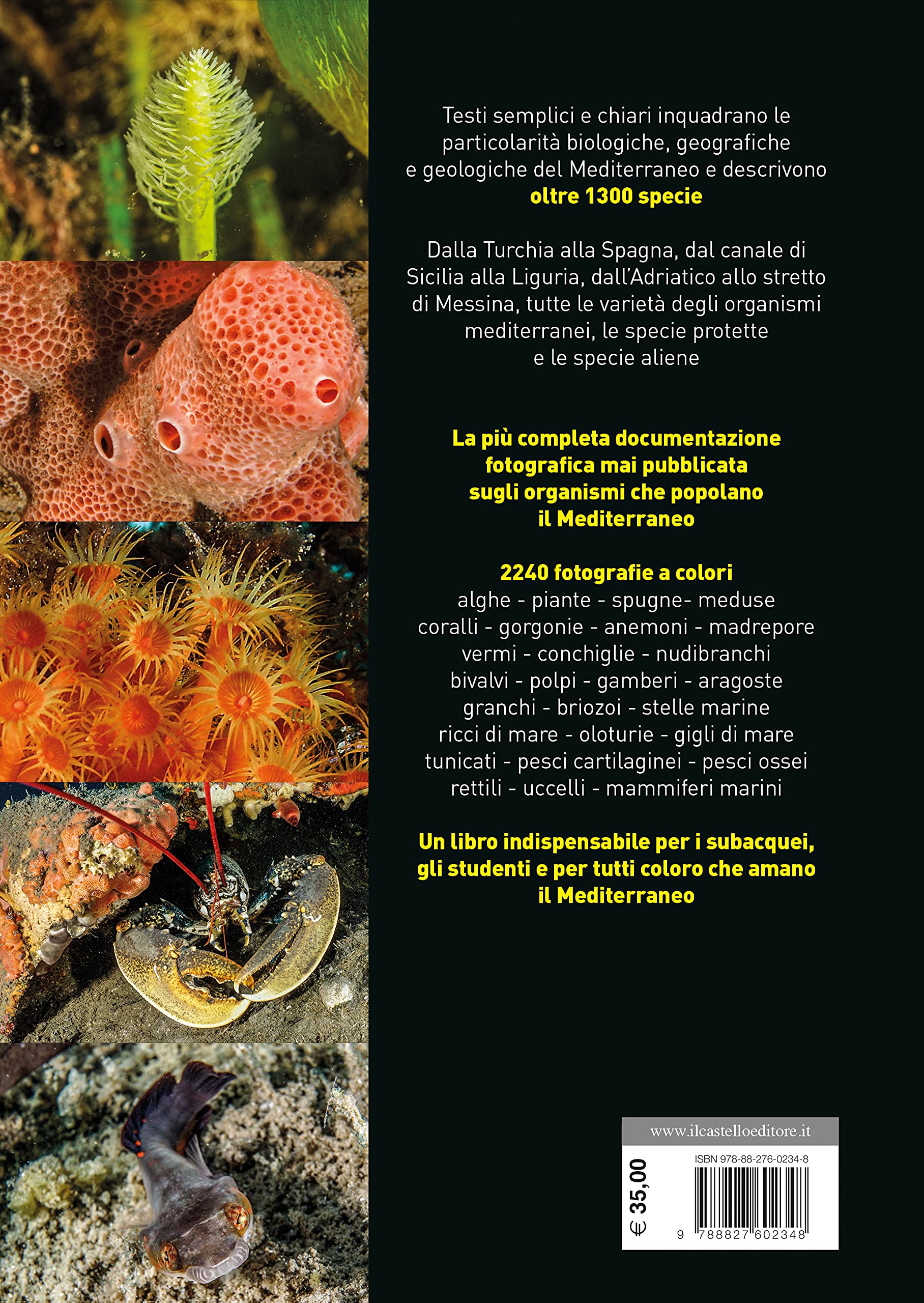Atlante di flora e fauna del Mediterraneo. Guida alla biodiversità degli ambienti marini. Ediz. a colori