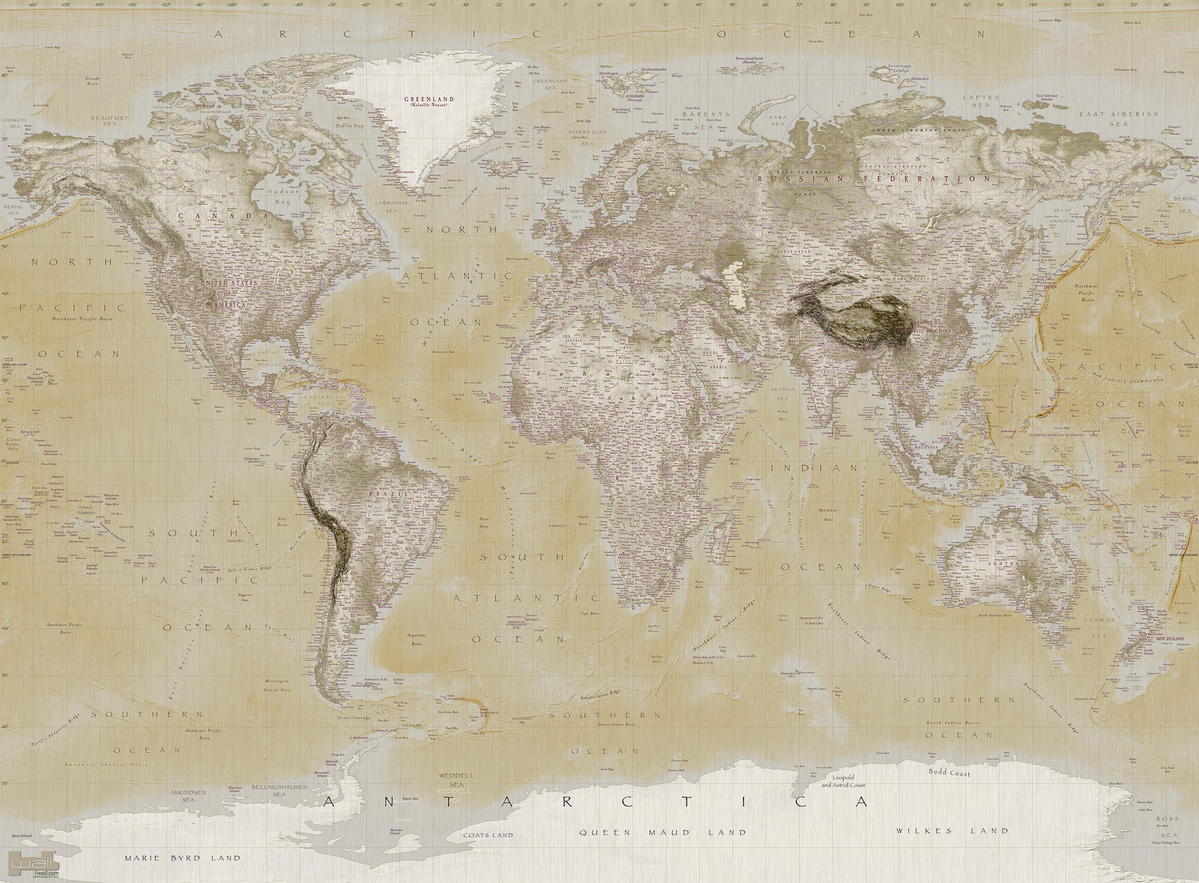 1Wall Neutral World Map Feature Wall Wallpaper Mural 3.15 x 2.32m, Wood, Beige, 1 x 315 x 232 cm