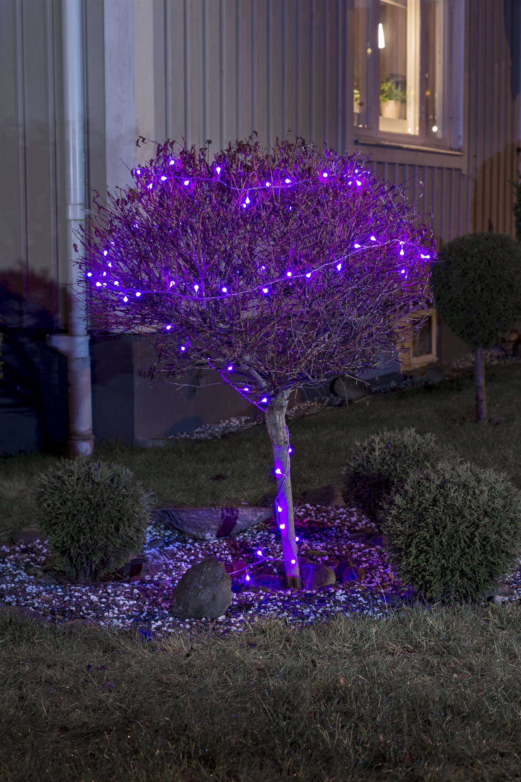Guirlande Lumineuse 80 LEDs Multicolores - Intérieure Et Extérieure