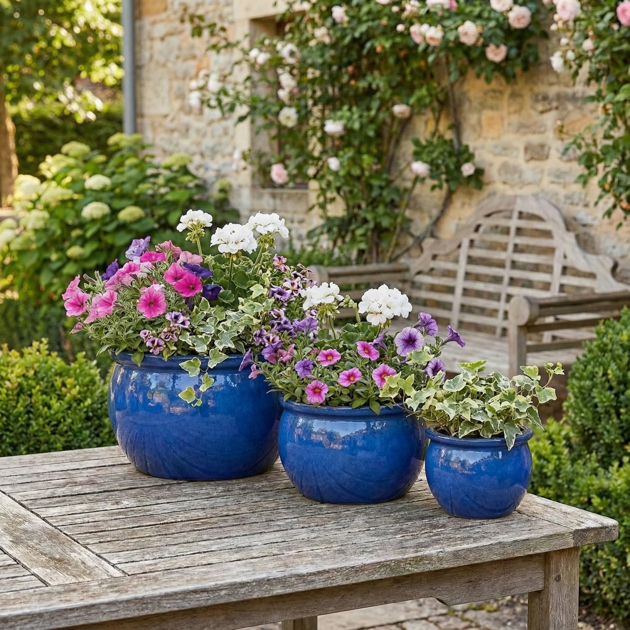 Teramico Premium Keramik-Pflanzschale Garten (Royal Blau, 46cm x 26cm) | Unsere Premium Keramik Pflanzgefäße sind absolut frostfest, sehr hochwertig und in diversen Größen und Farben verfügbar.