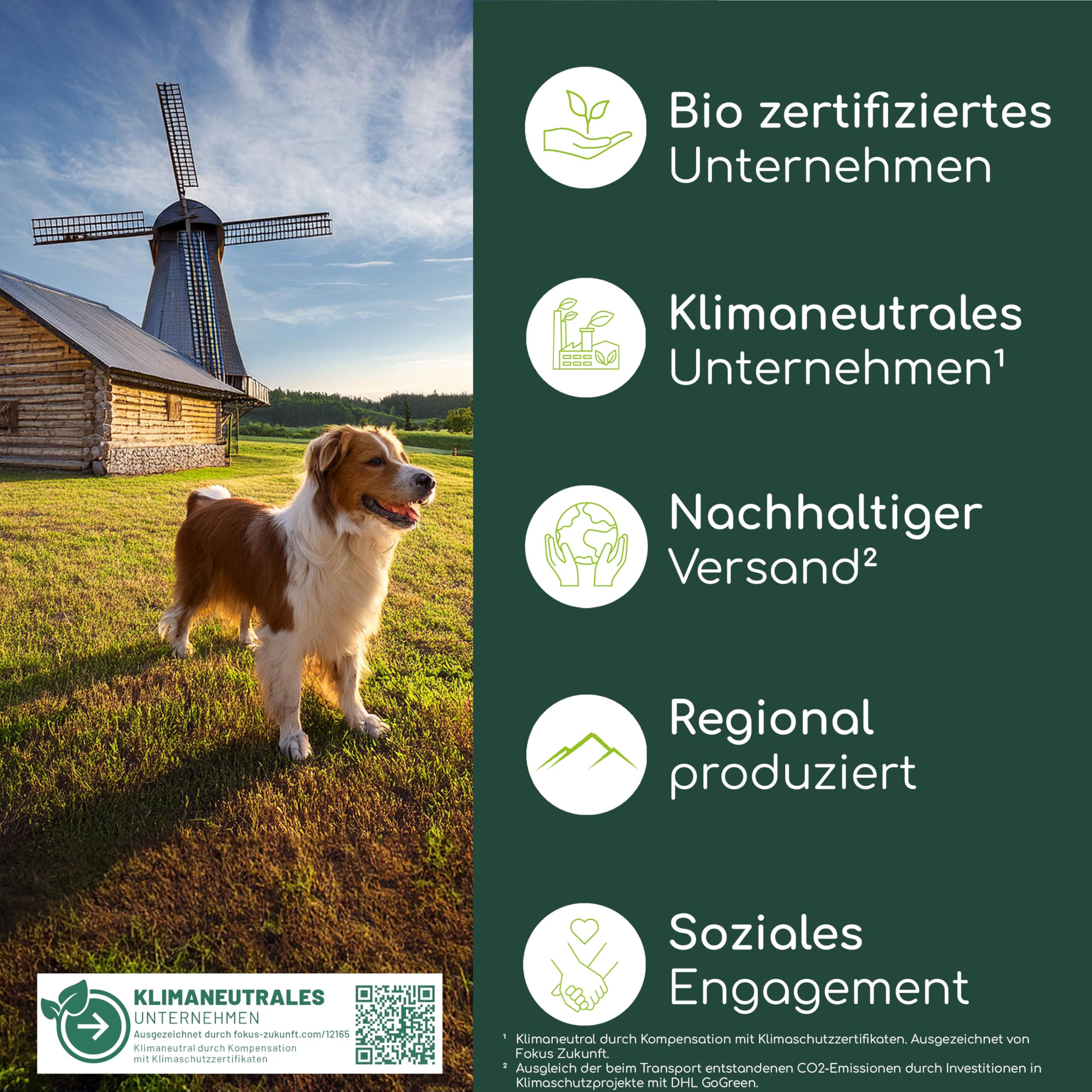 Omega 3 für Hunde - Mit Lachsöl, Kokosöl, Bierhefe | Haut & Fell Leckerli 4 x | Gegen Juckreiz, für gesunde Haut und glänzendes Fell