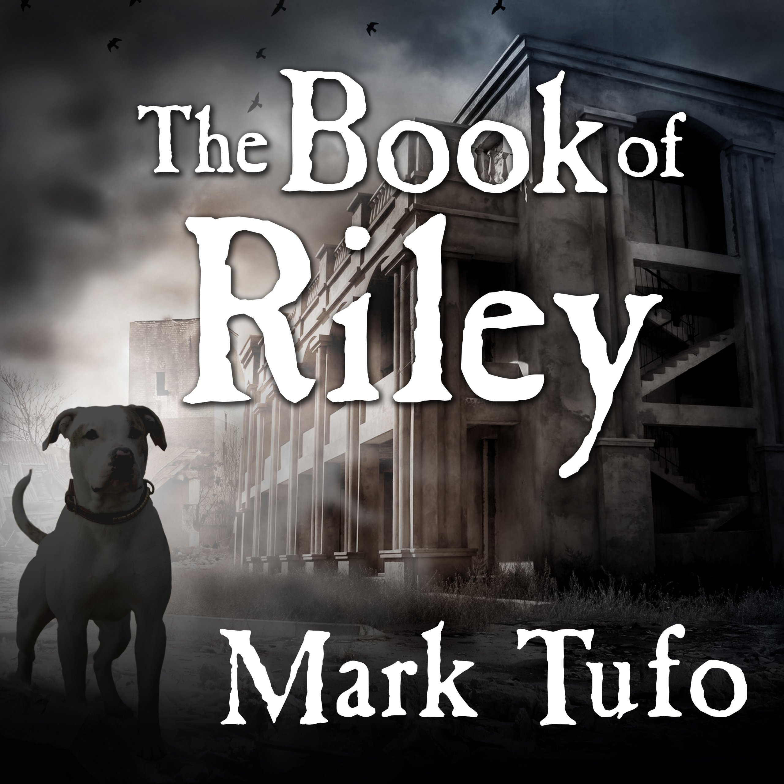 Cover art for The Book of Riley