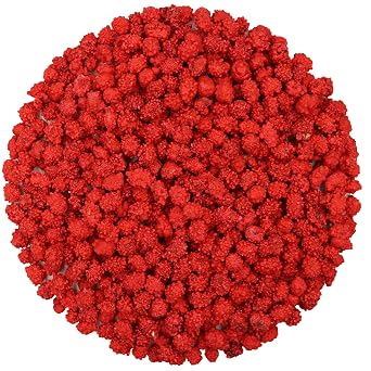 FirstChoiceCandy French Burnt Peanuts Classic Red Old Fashioned Candy, 2 Pound