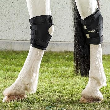 BACK ON TRACK Hock Boots with Holes for Horses (Pair)