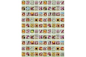 Flower Seed Explosion: 100+ Varieties in Bulk for Limitless Gardening Adventures