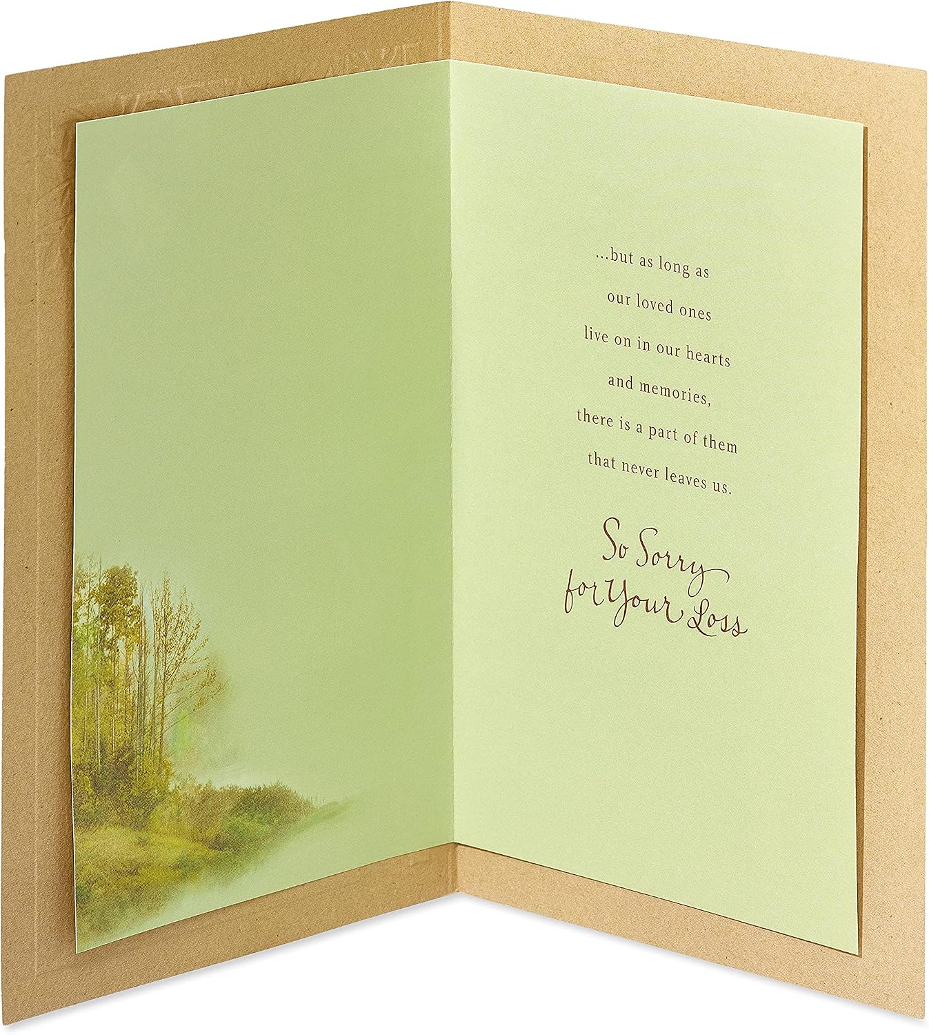 American Greetings Sympathy Card for Loss of Father (Trees)