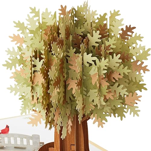 Miniatura 6 de Hallmark Tarjeta desplegable Signature Paper Wonder (Here for You) Thinking of You, Sympathy, Get Well Soon