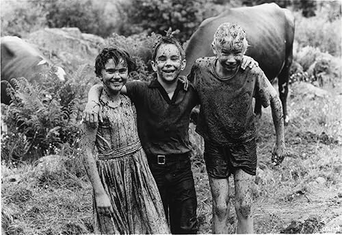 Miniatura 4 de My Life as a Dog (The Criterion Collection) Blu-ray