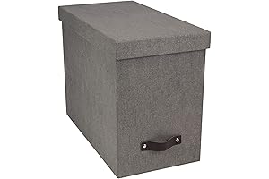 The Bigso Box of Sweden John Desktop File Box: A Stylish and...