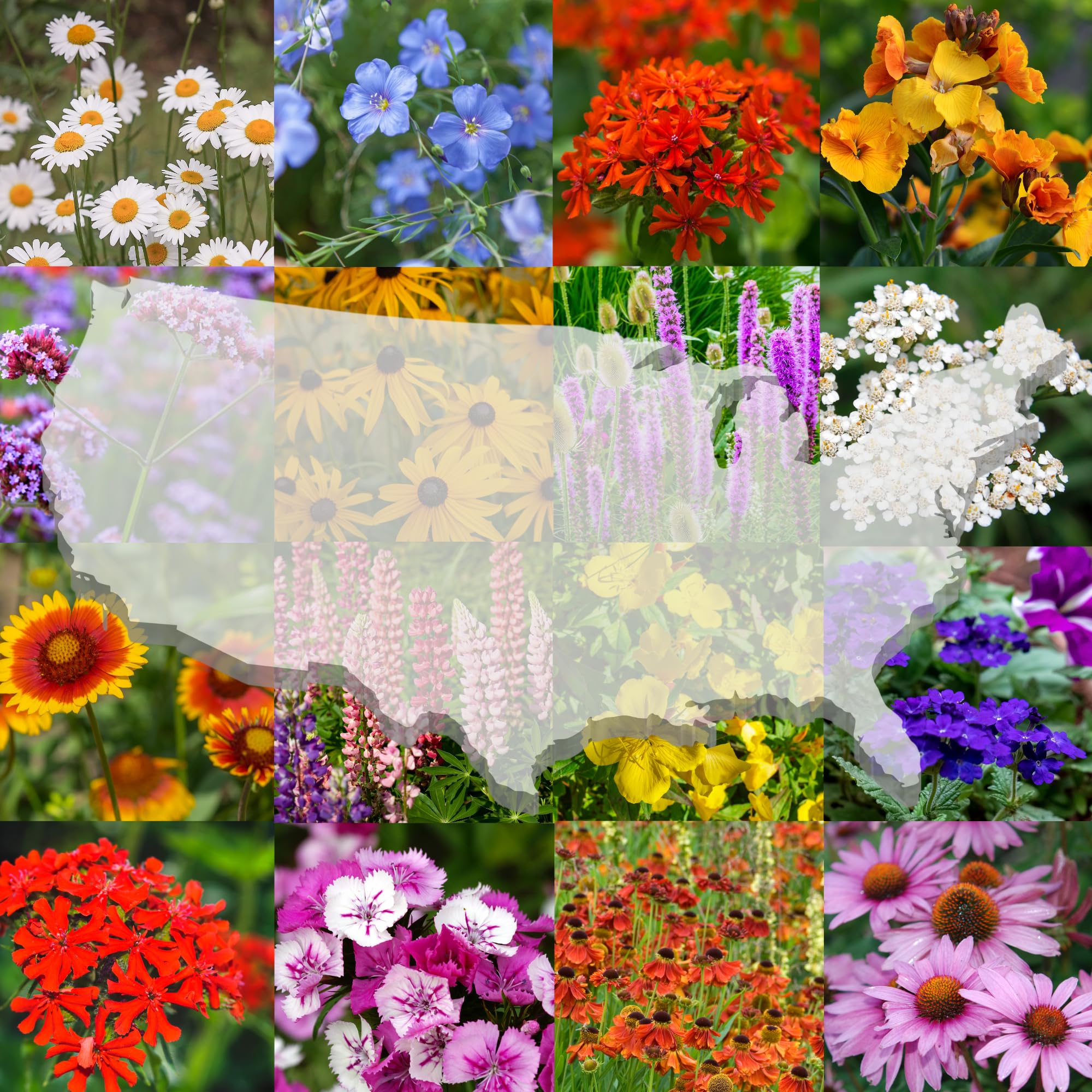 bag of flower seeds Celebration of Life Seed Packet Favors