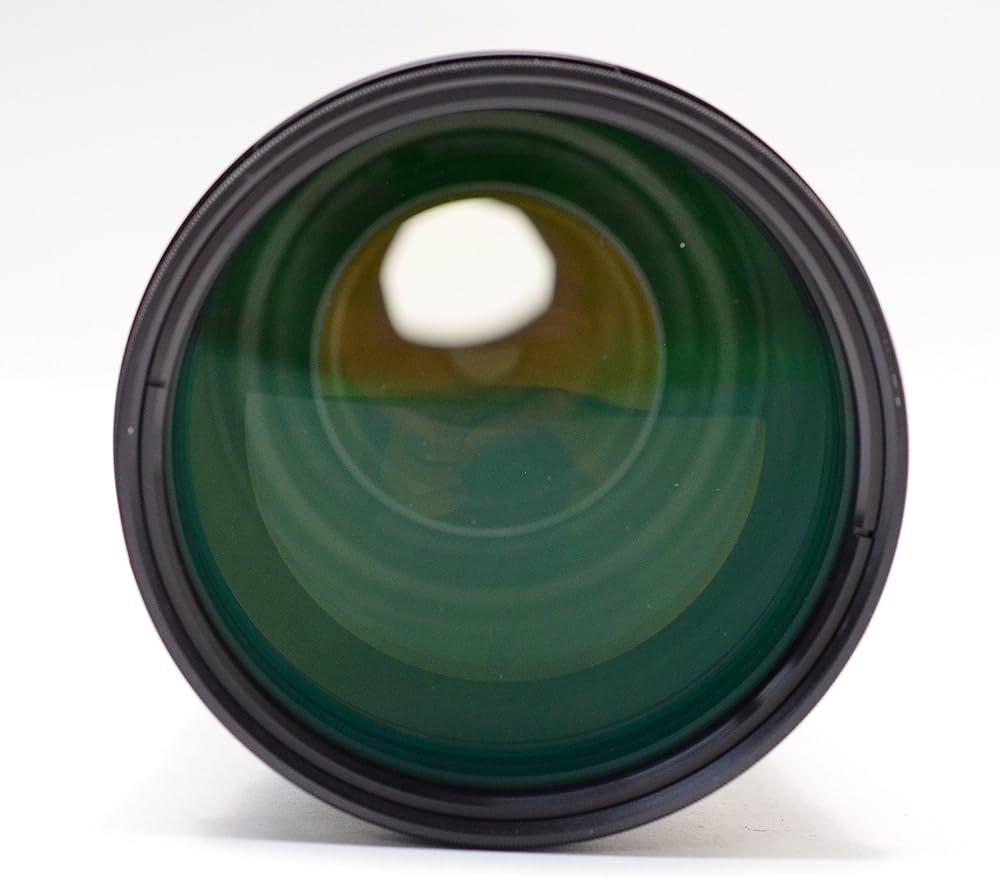 素晴らしい体験 Sigma 170-500mm SONY ミノルタ用 #7796 Amazon.co.jp: シグマ 170-500mm F5-6.3 APO DG ソニー用 : 家電