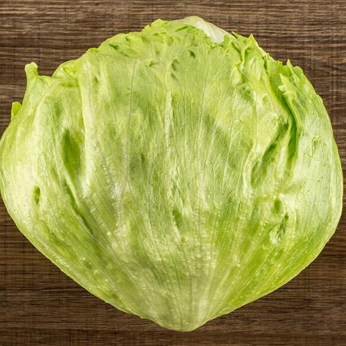 Semillas de lechuga - Crisphead - Great Lakes Mesa 23.25-0.04 oz Paquete  900 Semillas - Lactuca Sativa - Semillas de vegetales de granja y jardín - disponible en Yaxa El Salvador