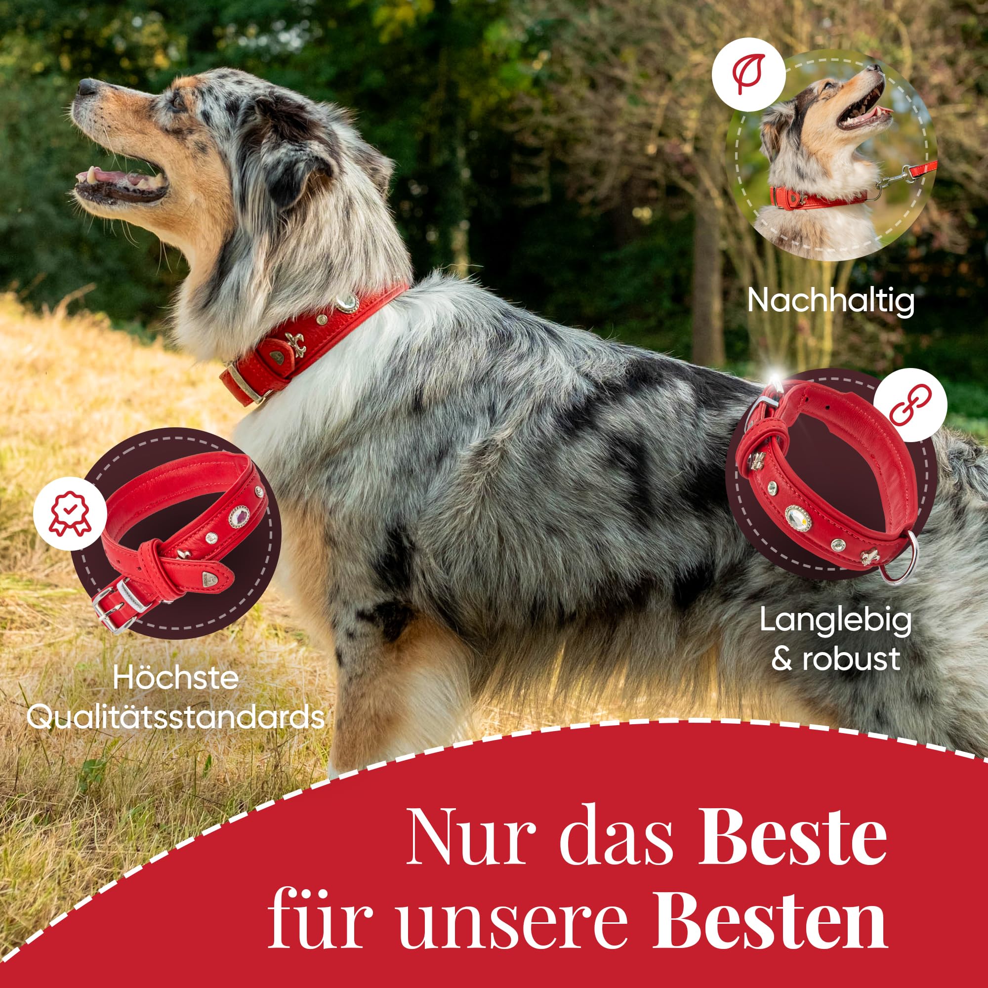 MICHUR Julieta Hundehalsband Leder, Lederhalsband Hund, Halsband, Rot, Leder, mit Lilien, Strasssteinen und großem Kristall