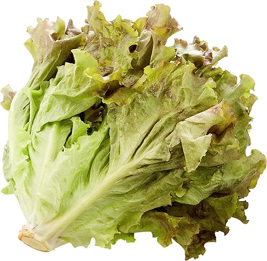 Tokyo Organic(トウキョウオーガニック) 国内産 Tokyo Organic 有機サニーレタス 1パック 200g