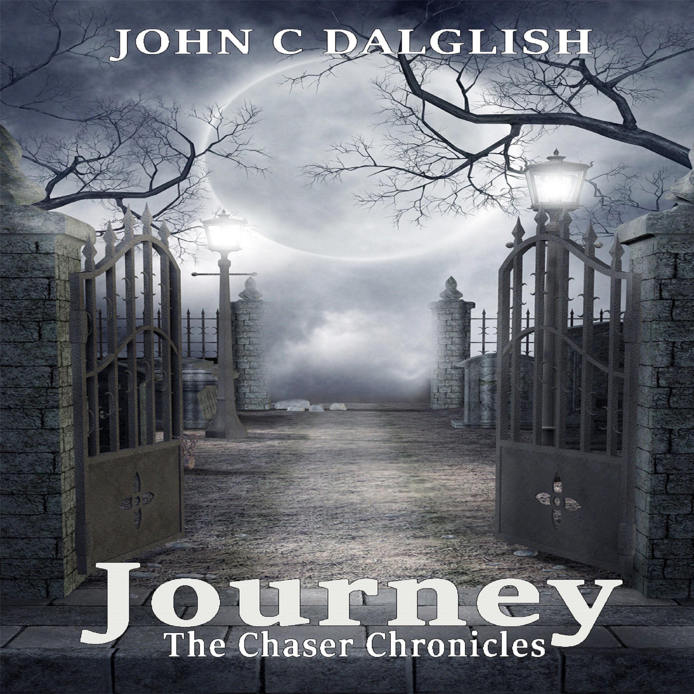 Cover art for Journey: The Chaser Chronicles, Book 2