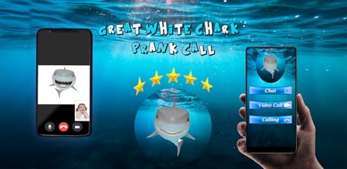 Call From Great White Shark - Live Video