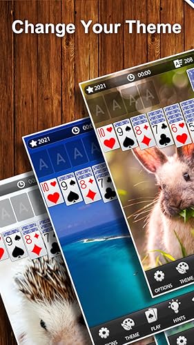 Solitaire Classic Card Game by Mint