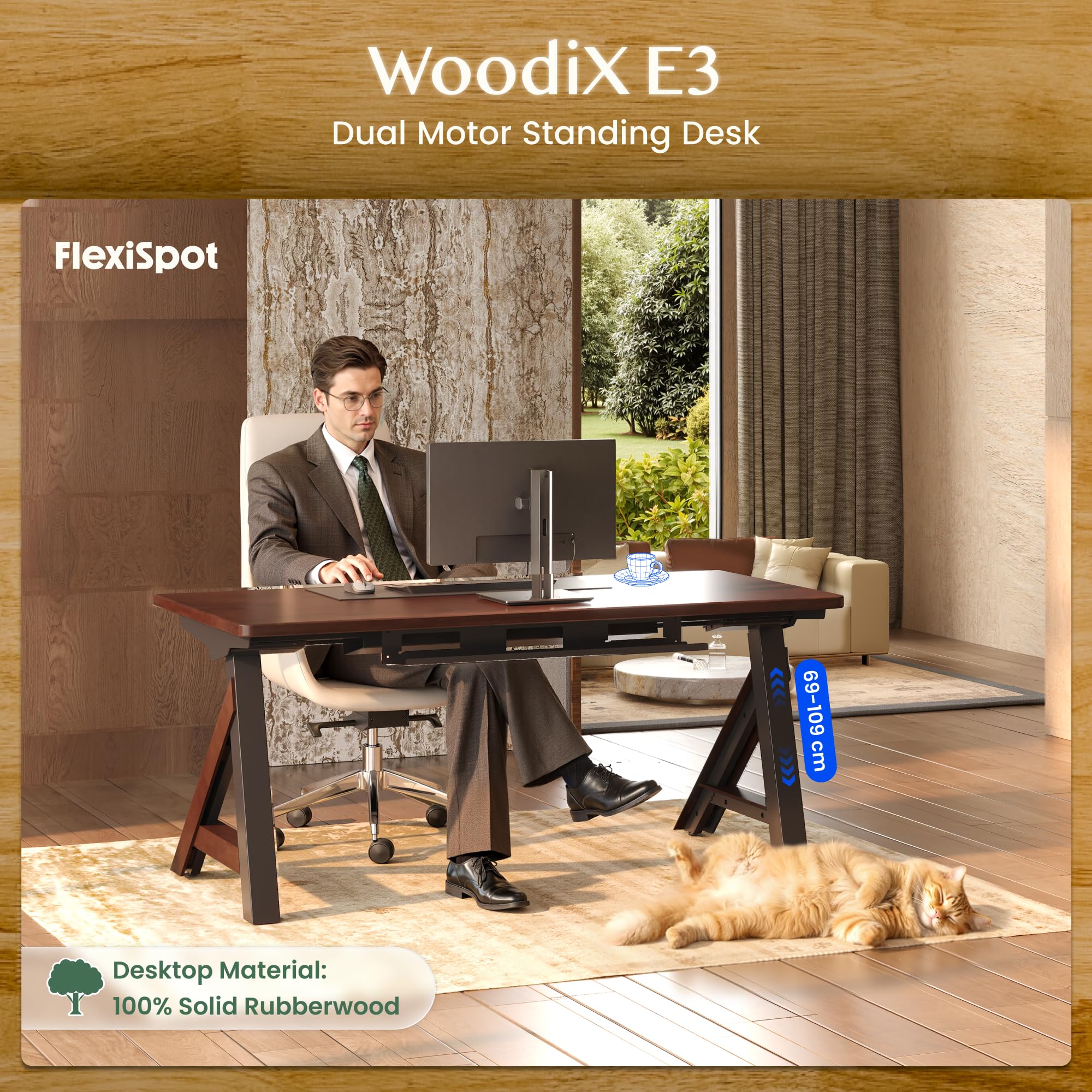 FlexiSpot Höhenverstellbarer Schreibtisch Gestell WoodiX E3, Höhenverstellbares Tischgestell mit 25mm Massivholz-Tischplatte aus Kautschukholz, Doppelmotor und Kabelmanagement, Premium Design, Schwarz