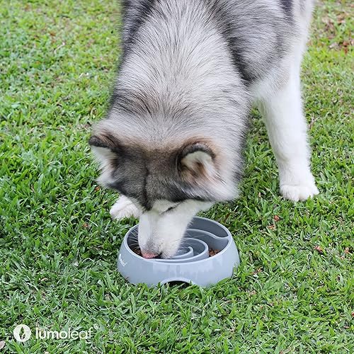 Miniatura 7 de LumoLeaf Tazones de alimentación lenta para perros, 4 tazas, tazón grande de melamina, platos de laberinto de mascotas de alimentación lenta,