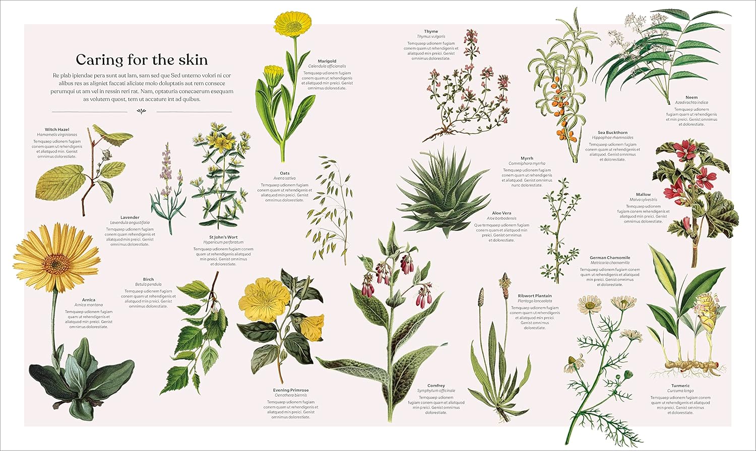 The Herb Book: The Stories, Science, and History of Herbs