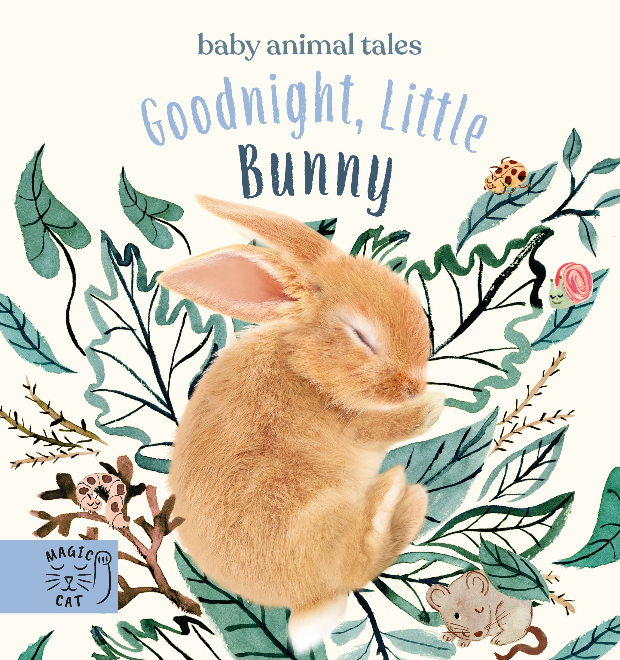 Goodnight, Little Bunny: A book about being brave (Baby Animal Tales)