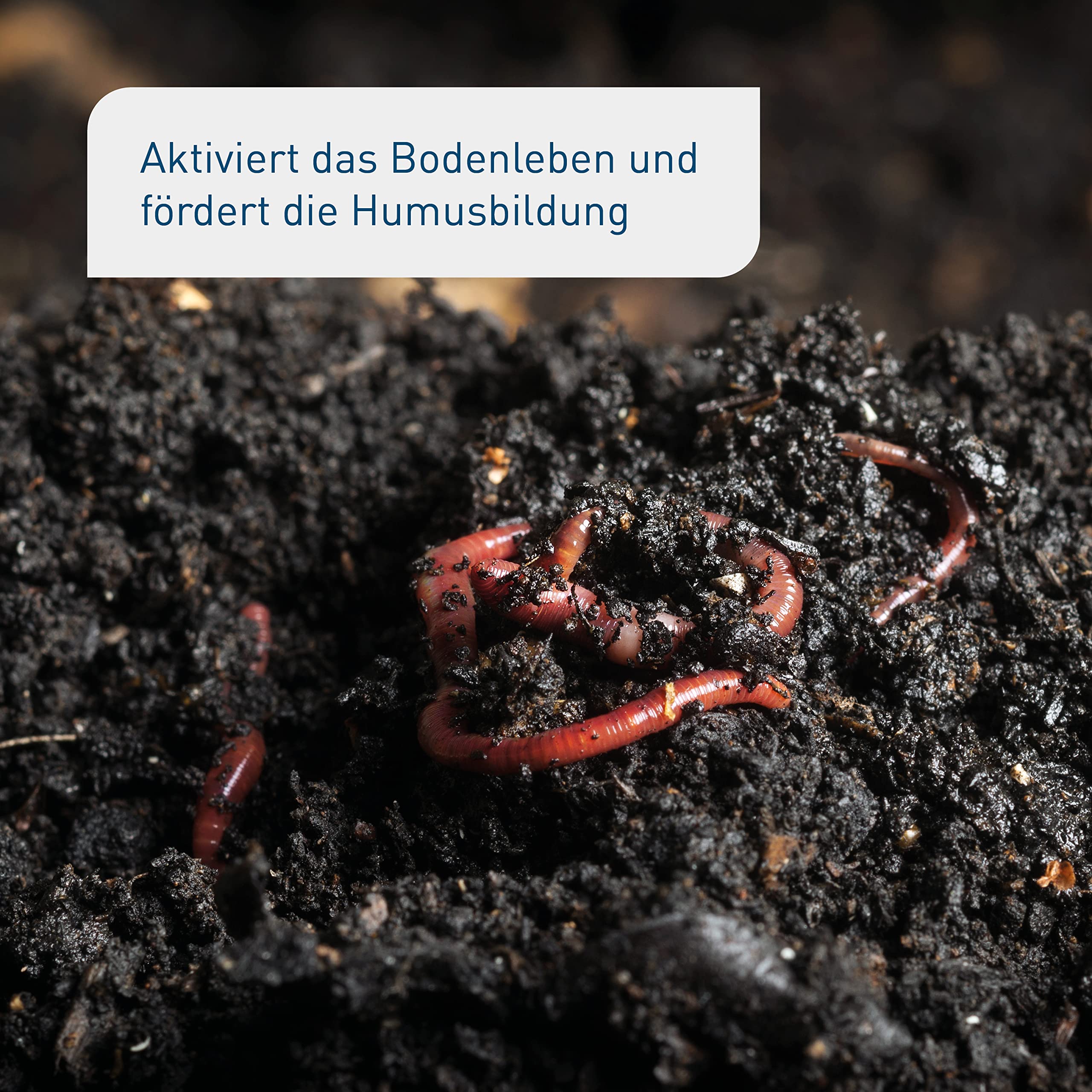 Plantura Bio-Bodenaktivator, mit lebenden Mykorrhiza-Pilzen, Langzeitwirkung, 10,5 kg für 140 m²