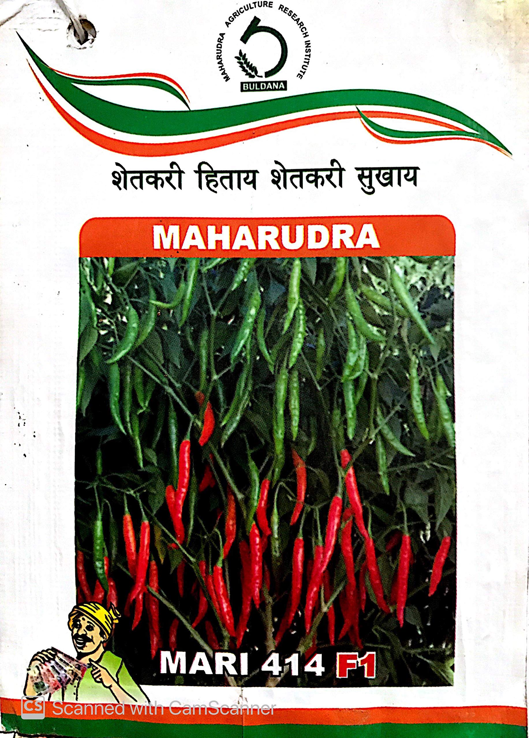 その他 chilli Chilly Seed(414 F1) : Amazon.in: Garden & Outdoors