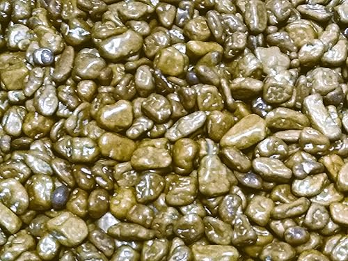 Miniatura 2 de Chocorocks (Chocolate Rocks) 1 lb  Chocolate con leche único salado caramelo cubierto "Rocks" Dulce fresco delicioso a granel