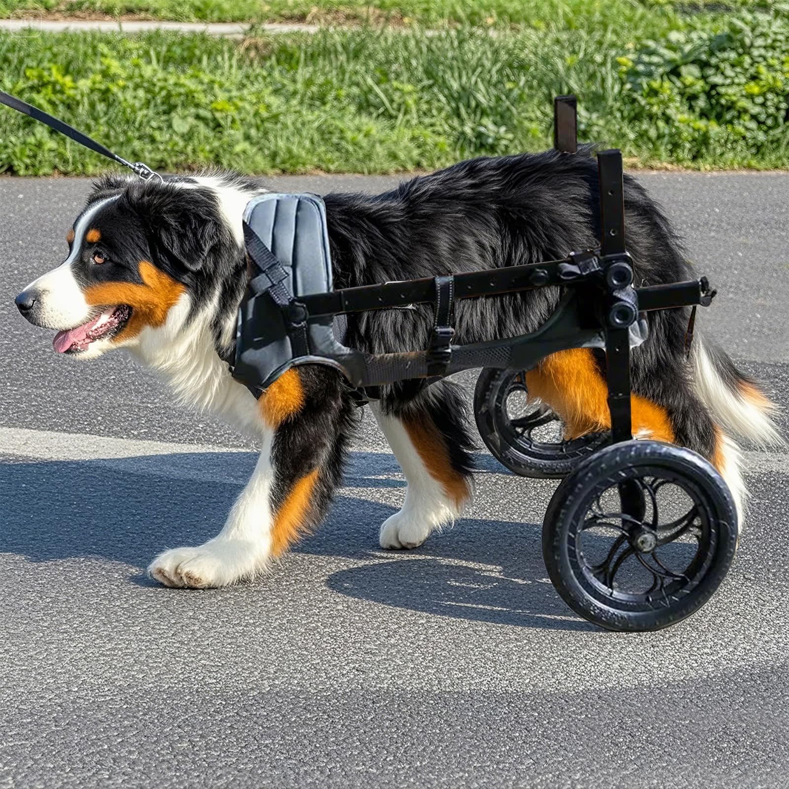 silla de ruedas grande para perros, silla de ruedas gigante gris, carrito ligero para discapacitados/viejos, ajustable