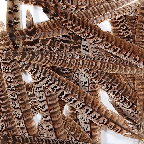 Miniatura 5 de THARAHT 24 plumas de cola de faisán femeninas con cuello de anillo, plumas naturales de 6 a 8 pulgadas, 15 a 7.9in para manualidades, hogar, boda,