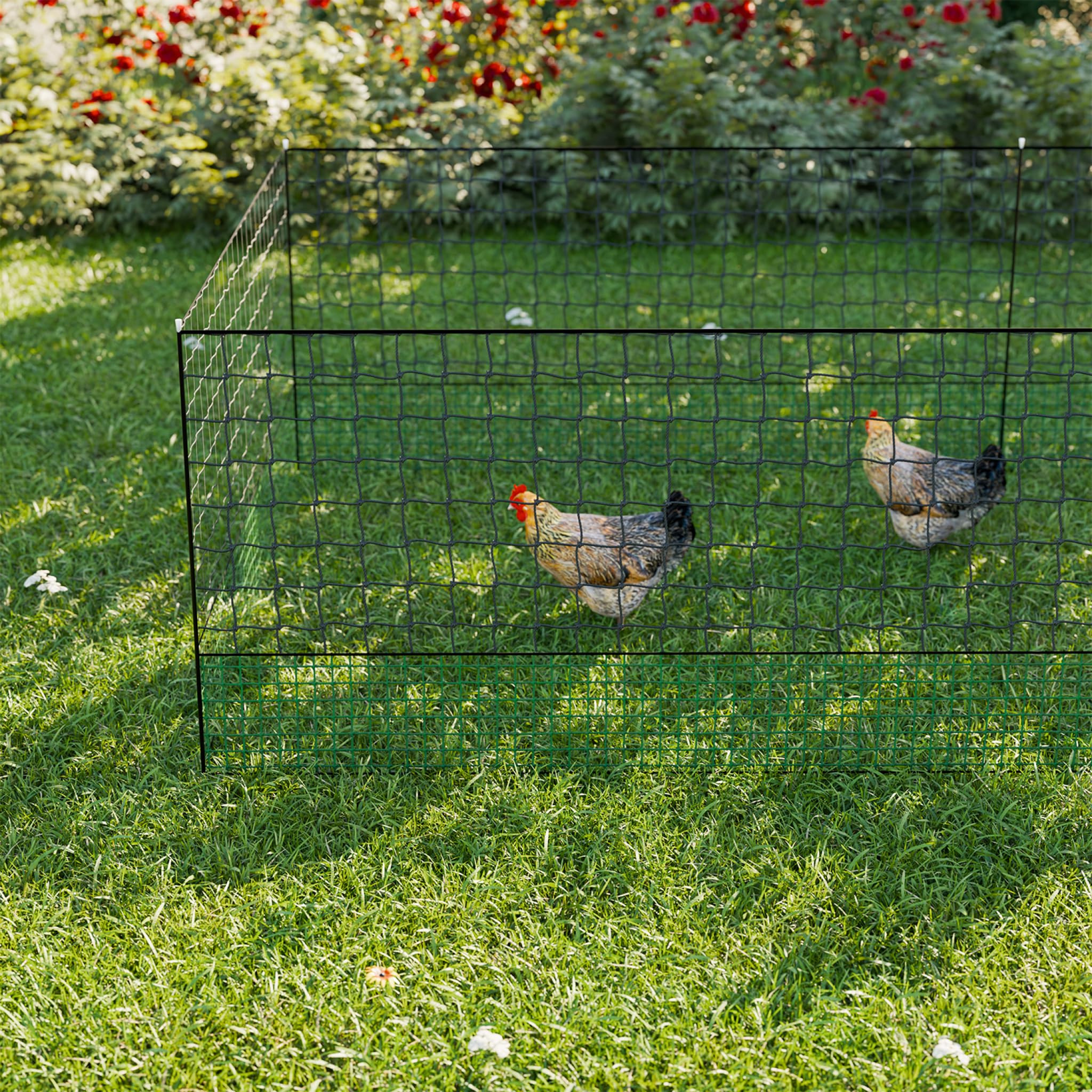 Alice's Garden - Kit Filet clôtures pour Poules 24m avec 8 piquets Double Pointes. modulable. Porte d'accès. Sardines incluses