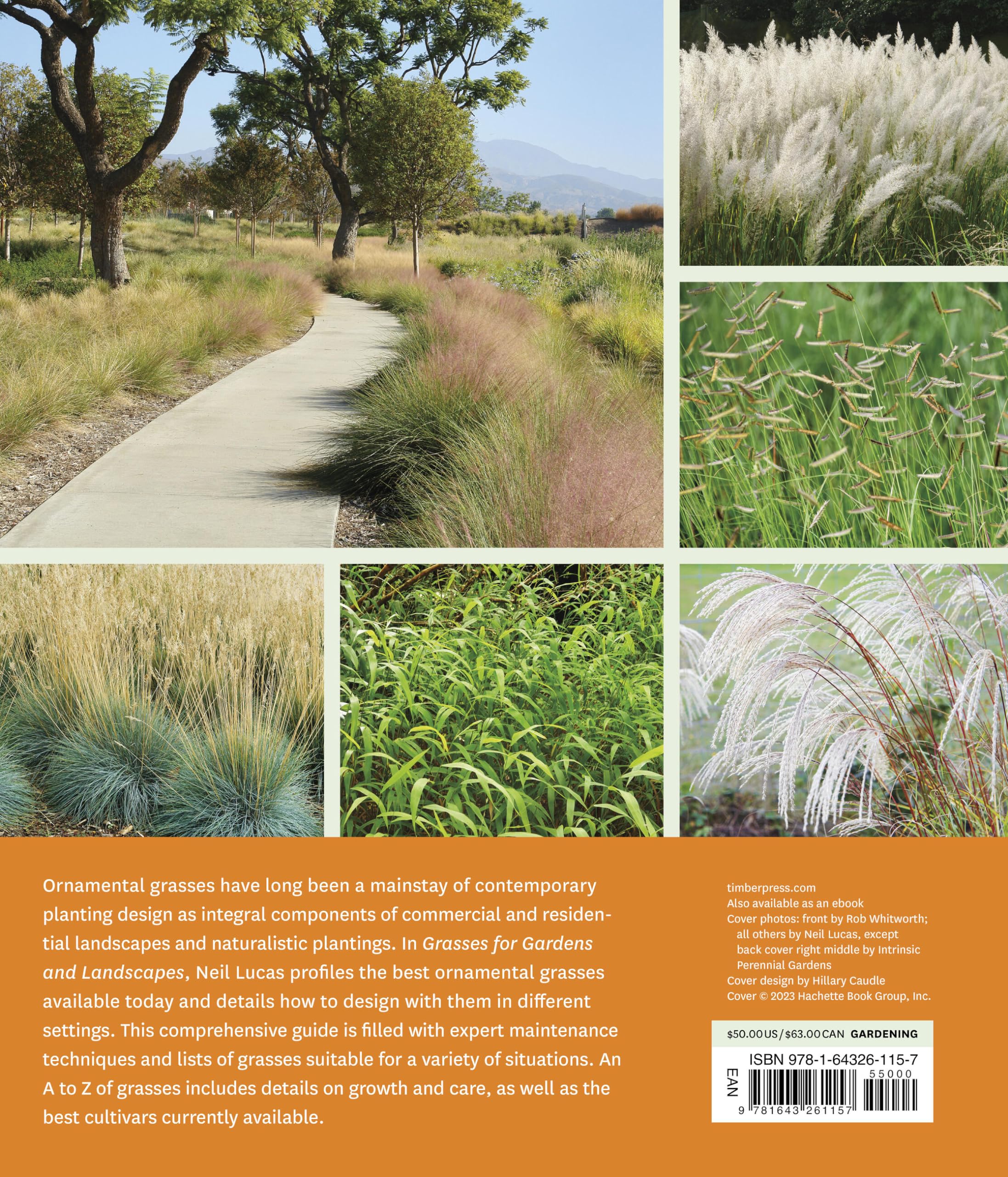 Grasses for Gardens and Landscapes