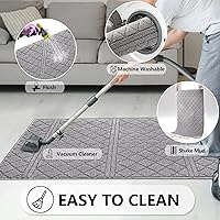 Vista 6 de REFETONE Tapete para interiores, tapete para puerta delantera y trasera de 24 x 36 pulgadas, tapetes con parte trasera de goma antideslizante