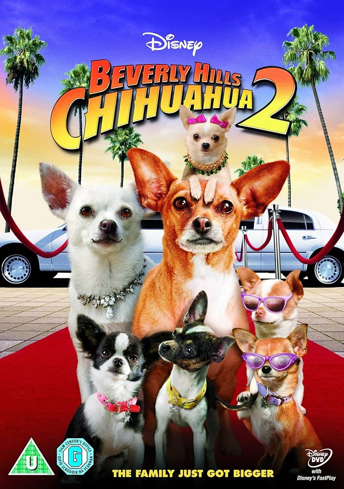 Amazon.com: Beverly Hills Chihuahua 2 [DVD] : Movies & TV