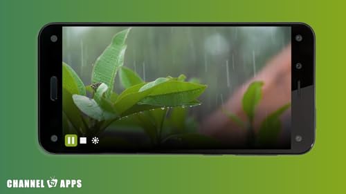 Som da Floresta de Chuva & Natureza: Som Relaxante da Chuva para Dormir e Meditar, Estudo, Sons da F