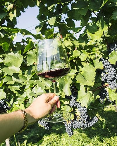 Miniatura 7 de Zalto Denk'Art - Juego de 6 copas de vino sopladas a mano, color burdeos