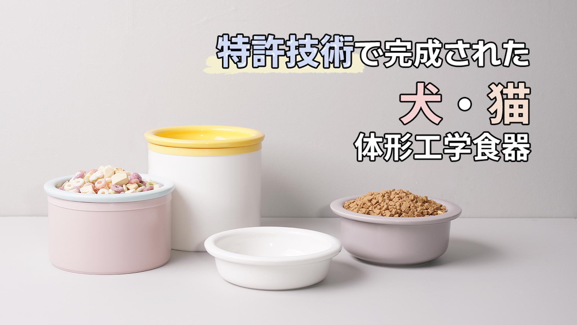 Amazon | BOWLBOWL 高さ10cm 小型犬 猫 用 食器 韓国製 プレミアム 