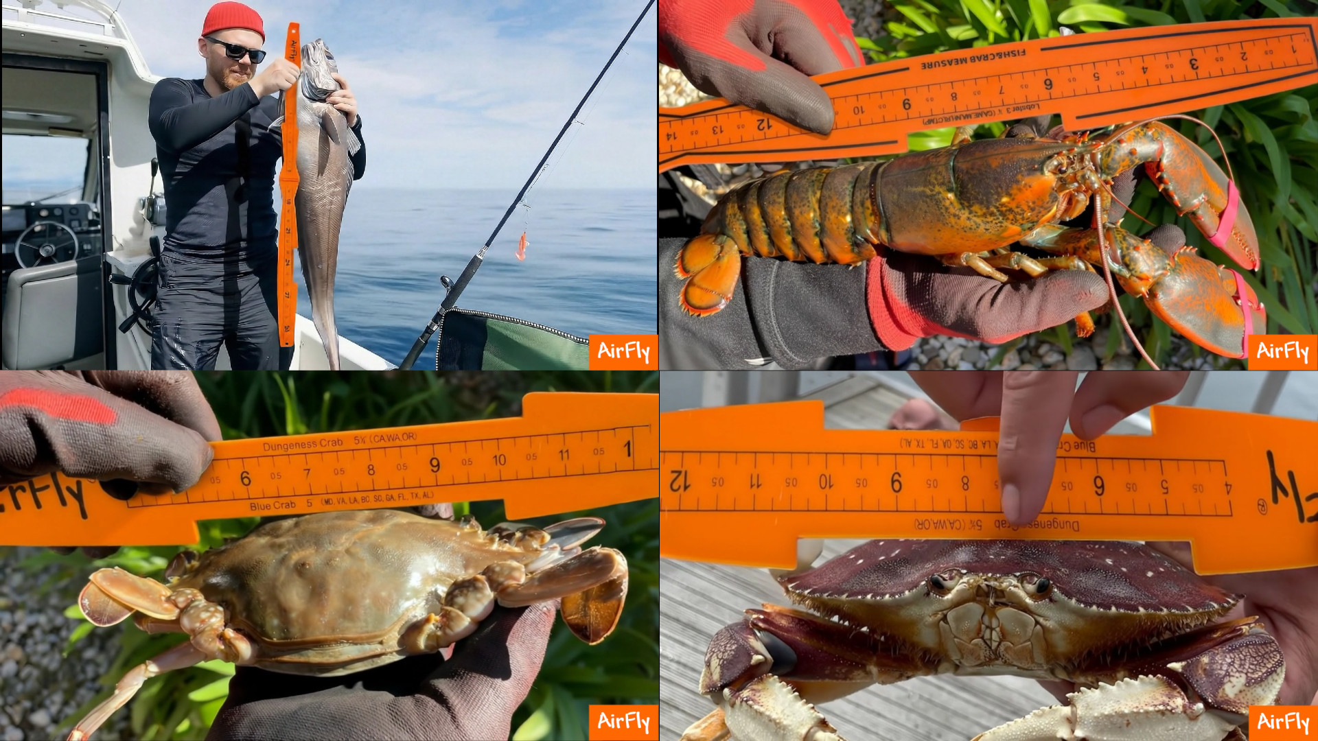 Image of AirFly Fish Measuring Board 32 Inch Foldable Bump Board - Built-in Crab Lobster Gauge - Slot-Limit Ruler for Redfish Snook Trout Flounder - Kayak Boat Shore - High-Contrast ABS - Designed in USA