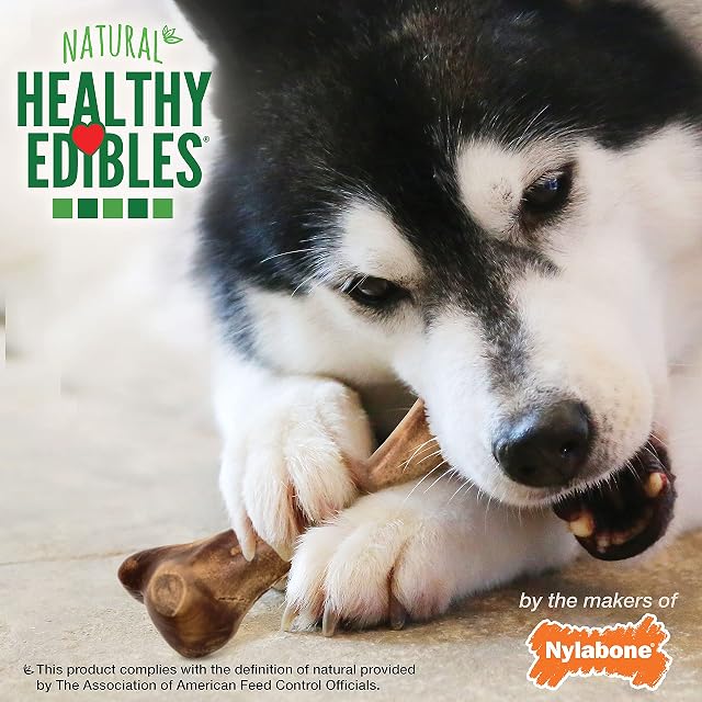 Foto 6 de 8 de Nylabone - Huesos de Bisonte Silvestres para Perros comestibles saludables, 138 ml