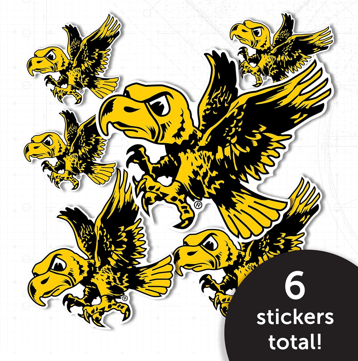 Desert Cactus University of Iowa Sticker Hawkeyes Vinyl Decals Laptop Water Bottle Car Scrapbook T3 (Type 3-1 Vintage) - Image 5