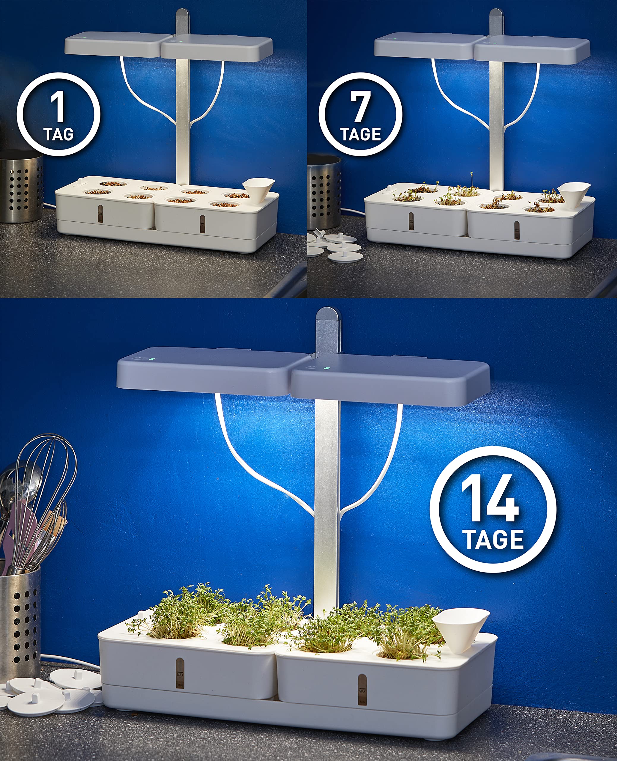 Northpoint LED Pflanzenlampe Gewächslampe Pflanzenlicht 30W Kräutergarten Timerfuntion Innengarten