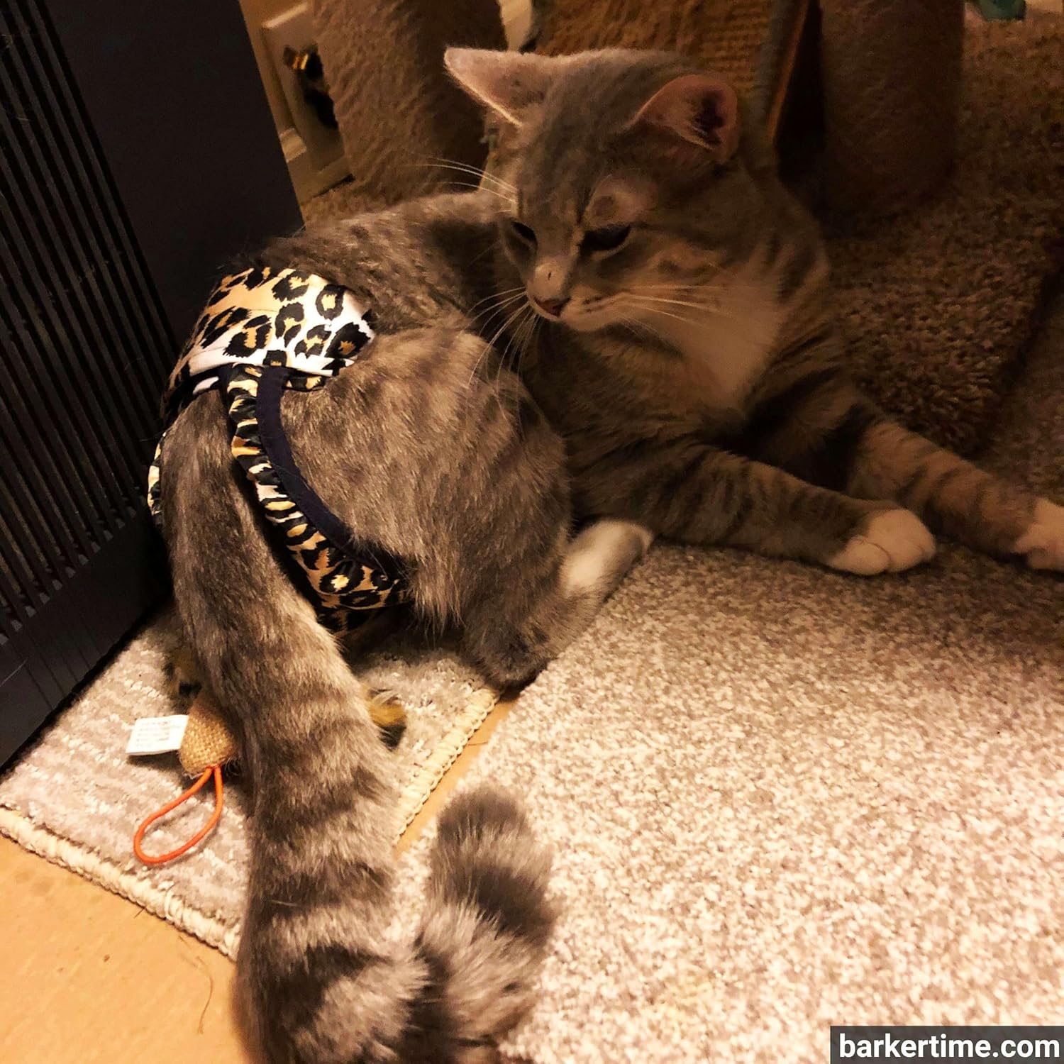 Leopard Cat Diaper Pull-up, S Stud Pants - Made in USA