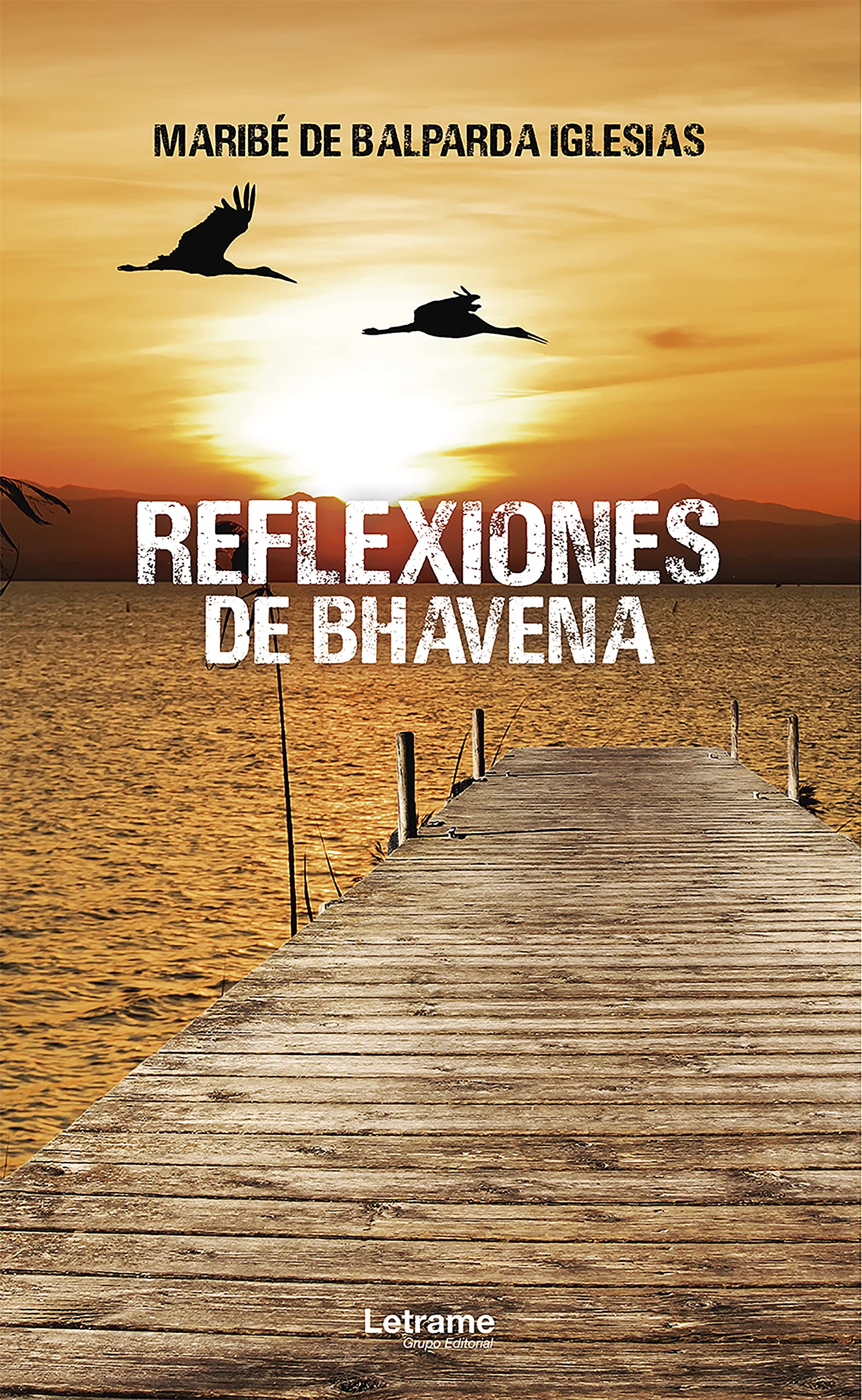 Reflexiones de Bhavena (Spanish Edition)