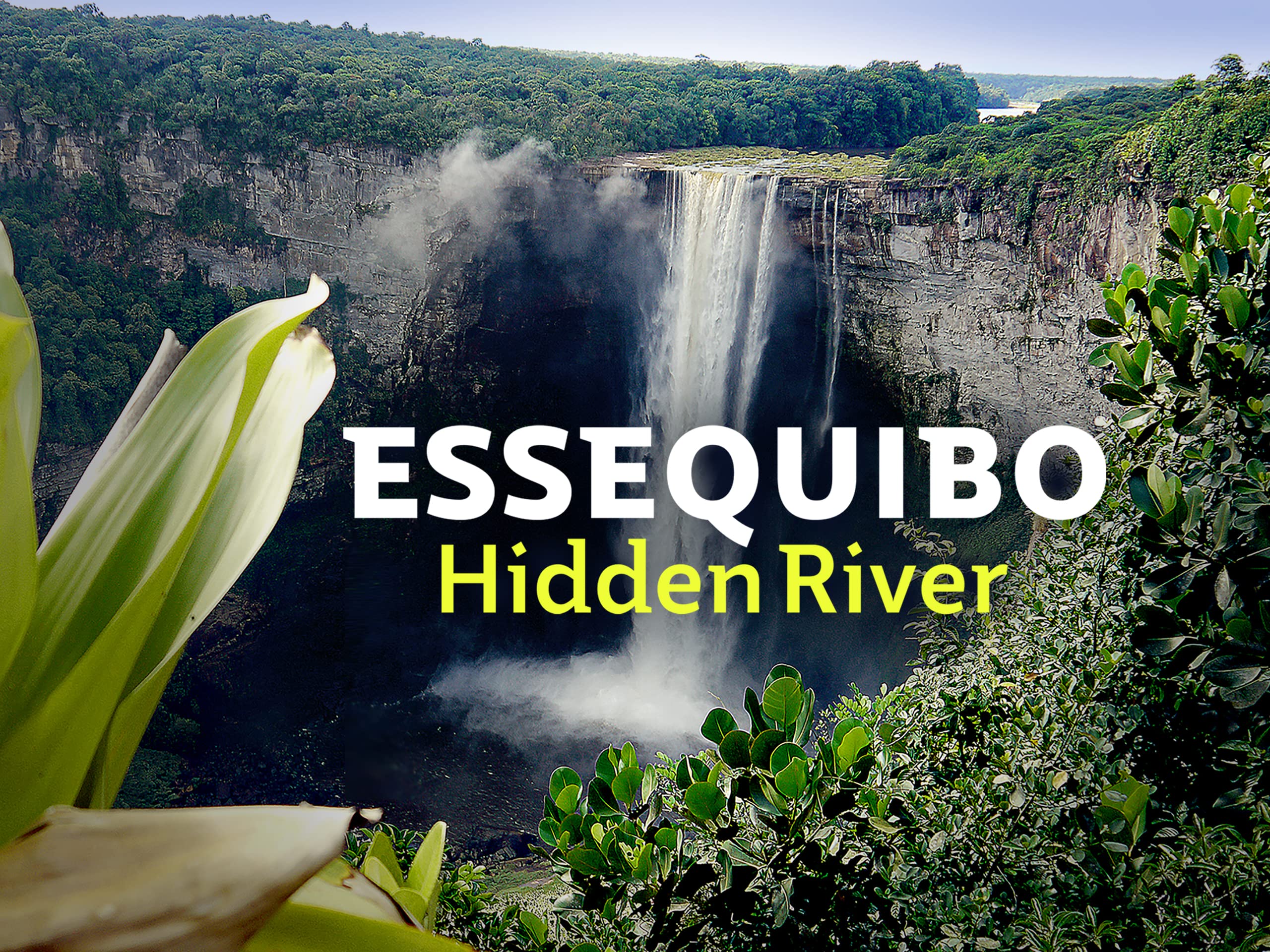 Essequibo - Hidden River
