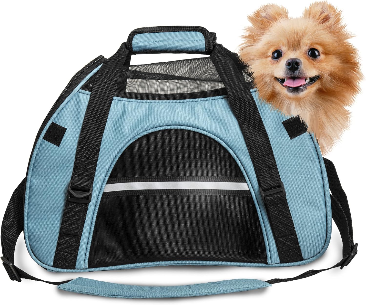 Furhaven Multipurpose Tote Bag Pet Carrier w/ Weather Guard – Robin Blue, Large
